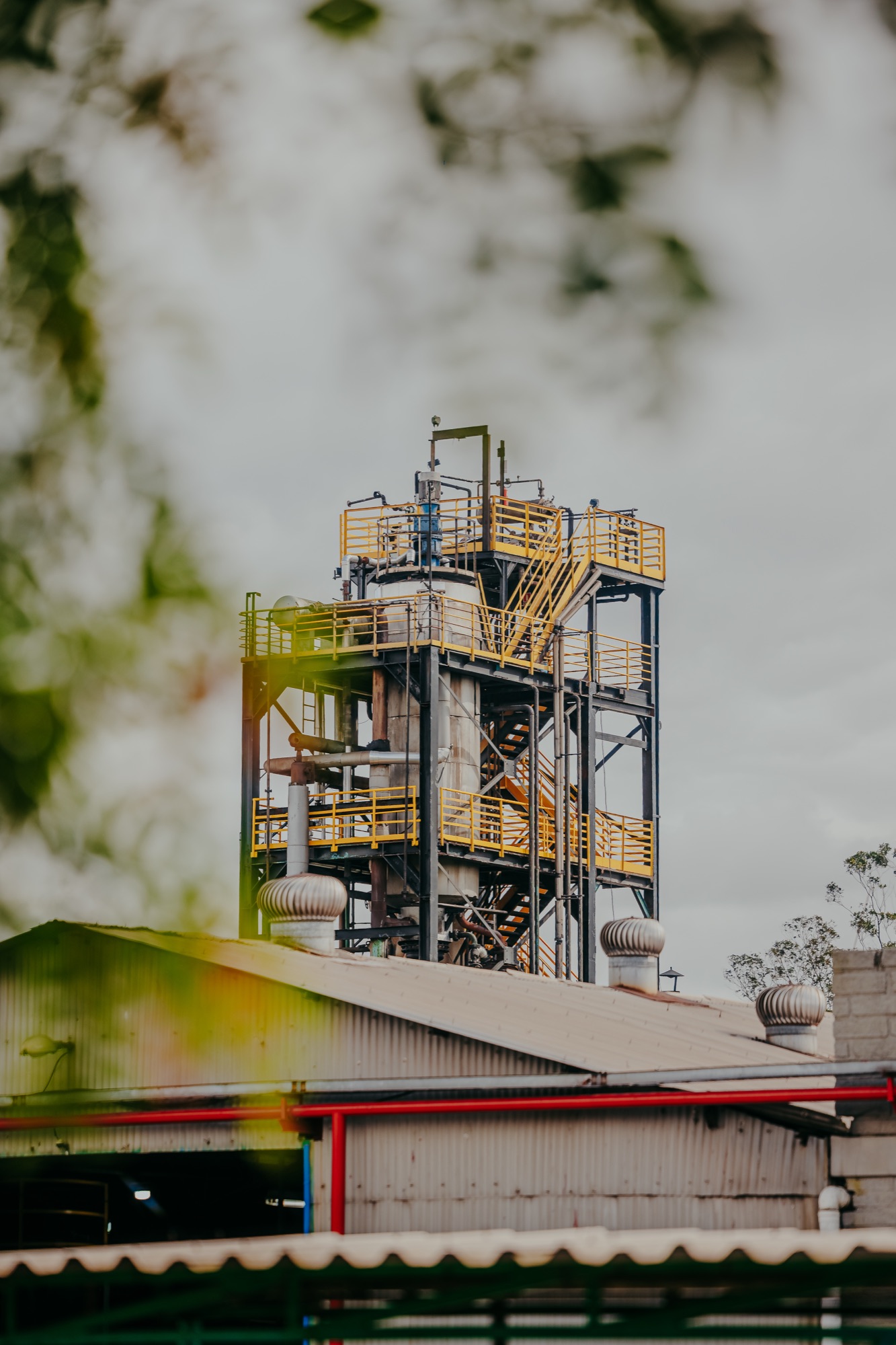 Laboratório e processo produtivo AIVA